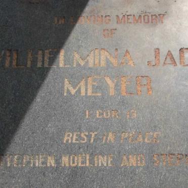MEYER Wilhelmna Jacoba