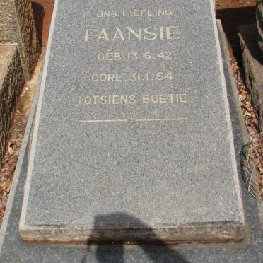 COETZEE Faansie 1942-1954