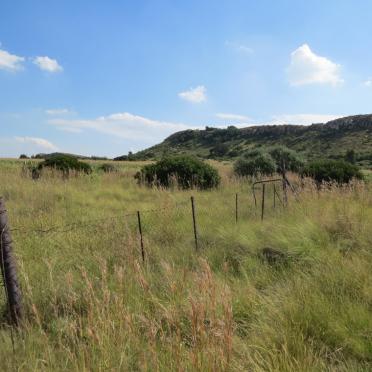 Mpumalanga, BALFOUR district, Spieskloof, Vrisgewaag 501_2, farm cemetery