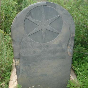Mpumalanga, BALFOUR district, Lagerspoort, Malanskraal 407, farm cemetery_1