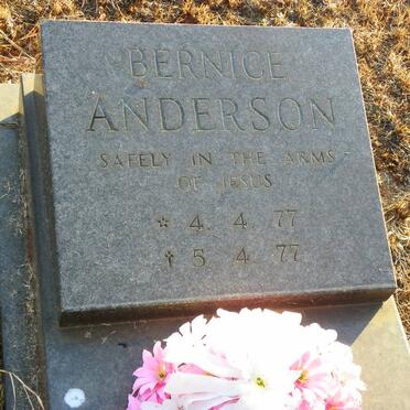 ANDERSON Bernice 1977-1977