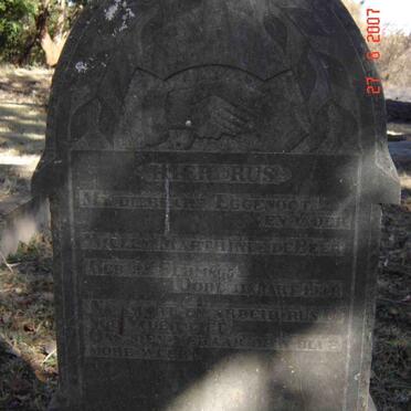 BEER Willem Marthinus, de 1865-1934