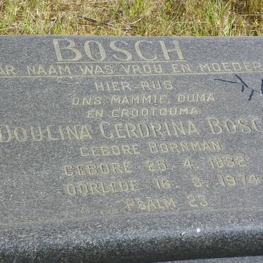 BOSCH Doulina Gerdrina nee BORNMAN 1892-1974