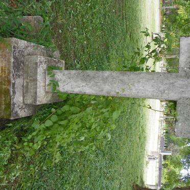 DAVIES George Irving 1854-1886