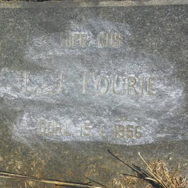 FOURIE L.J. -1956