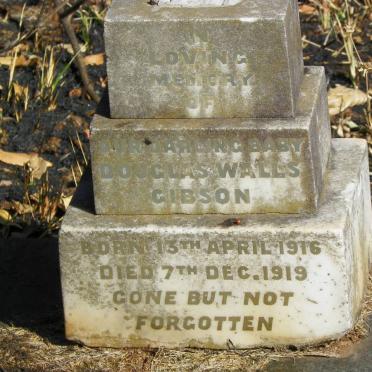 GIBSON Douglas Walls 1916-1919