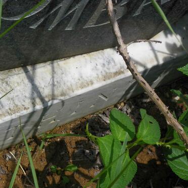 LOMBARD Thinus 1958-1990