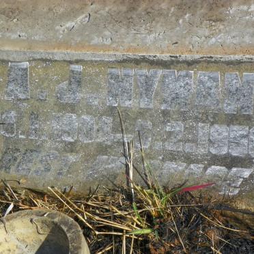 NYMAN A.J. 1904-1956