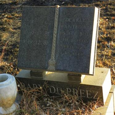 PREEZ Baby, du 1981-1981