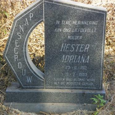 PANSEGROUW Hester Adriana 1912-1983