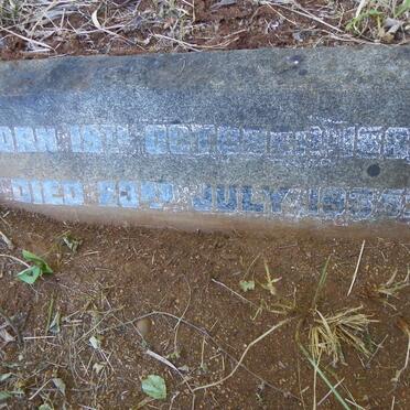 SEYMOUR Arthur George 1884-1935 _2