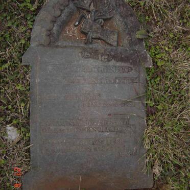 SCHEEPERS Petrus W. 1906-1929