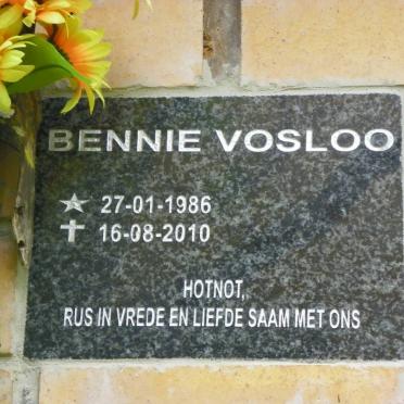 VOSLOO Bennie 1986-2010