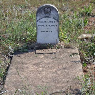 Mpumalanga, BARBERTON district, Barberton, Daisy Koppie cemetery