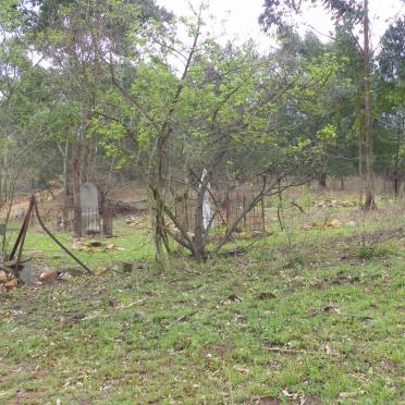 3. Overview / Oorsig