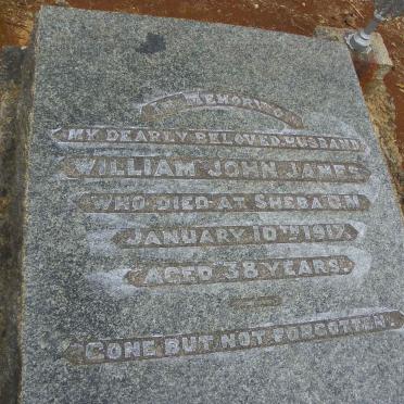 JAMES William John -1917