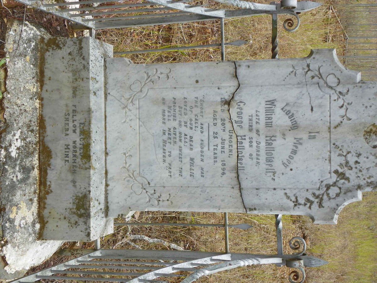 HALLOWELL William -1896