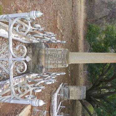 YOUNG William Adams -1917