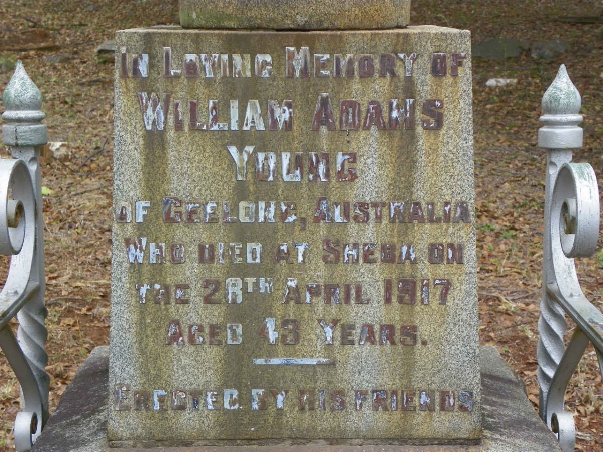 YOUNG William Adams -1917