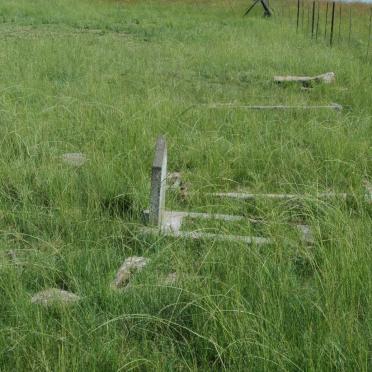 Mpumalanga, BETHAL district, Driehoek 295_3, farm cemetery