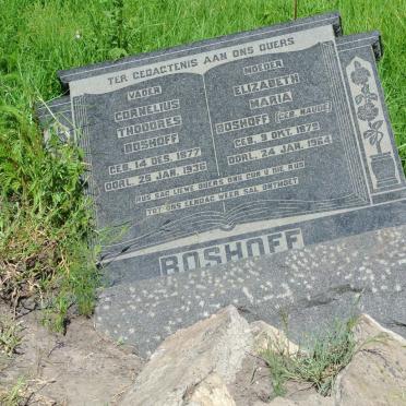 Mpumalanga, BETHAL district, Driehoek 295_4, farm cemetery