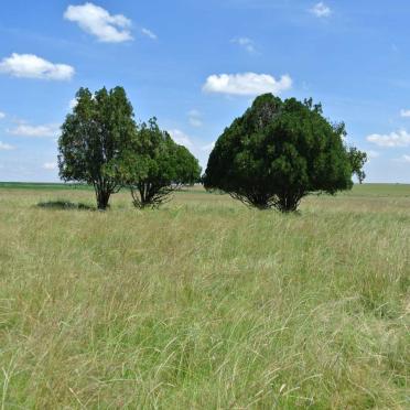 1. Overview / Oorsig