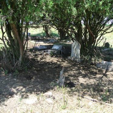 3. Overview / Oorsig