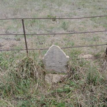 Mpumalanga, BETHAL district, Driehoek 295_1, farm cemetery