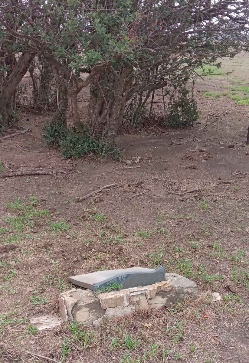 1. Oorsig / Overview