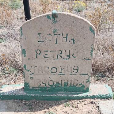 BOTHA Petrus Jacobus 1840-1916 