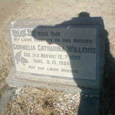 WILLEMSE Cornelia Catharina geb. VAN DER MERWE 1899-1954