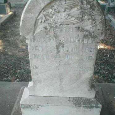 WELDON Willem J. 1891-1918