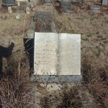 M - Surnames beginning with - M