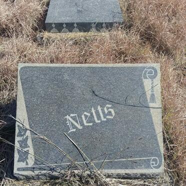 NETTS 