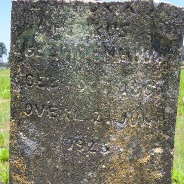 BEZUIDENHOUT ? Petrus -1923