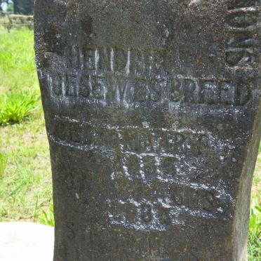 BREED Hendrik Jesewes -19?5