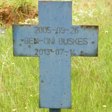 BUSKES Ben-Oni 2005-2013