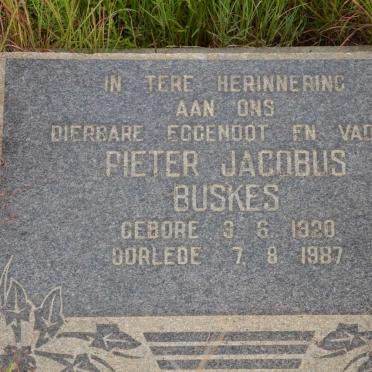 BUSKES Pieter Jacobus 1920-1987