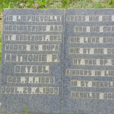 DEYSEL Anthonie P. 1885-1950