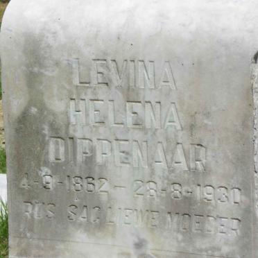 DIPPENAAR Jacobus 1856-1906 &amp; Levina Helena 1862-1930 :: DIPPENAAR Nicolaas Johannes 1889-1924