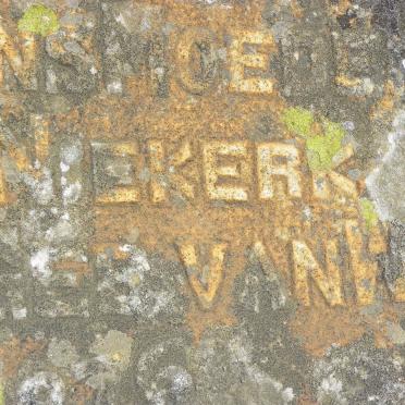 NIEKERK M.M., van nee VAN W? 1876-1911