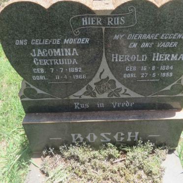 BOSCH Herold Herman 1884-1959 &amp; Jacomina Gertruida 1892-1966