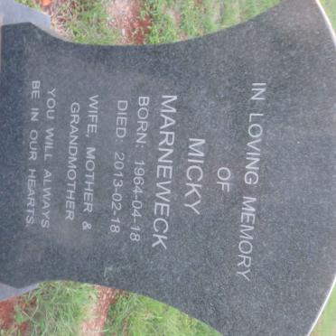 MARNEWECK Micky 1964-2013