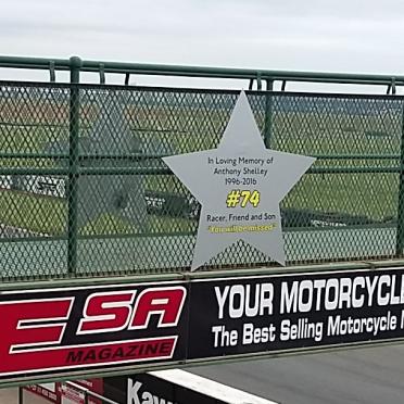 SHELLEY Anthony 1996-2016