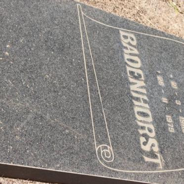 BADENHORST Louis 1960-1979