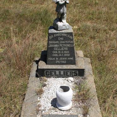 CELLIERS Gert 1913-1977 :: CELLIERS Johanna Petronella 1943-1952