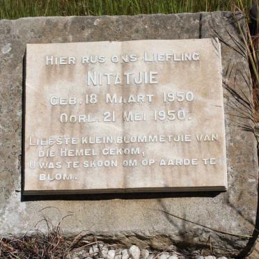 ? Nitatjie 1950-1950