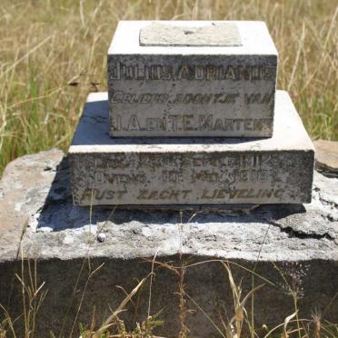 MARTENS Julius Adrianus 1912-1918