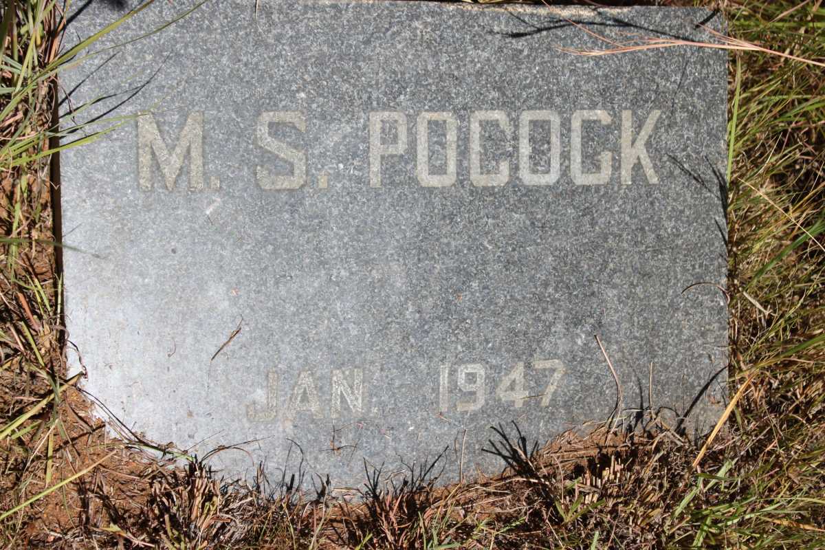POCOCK M.S. -1947