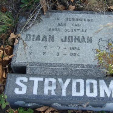STRYDOM Diaan Johan 1984-1984